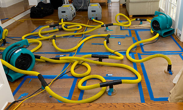 Professional Crawl Space Water Removal technician working in Reardan, WA